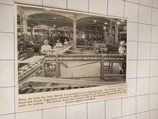 Solefilter Förderband