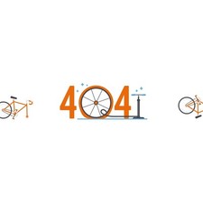 Schwinn Speed Bike 800IC