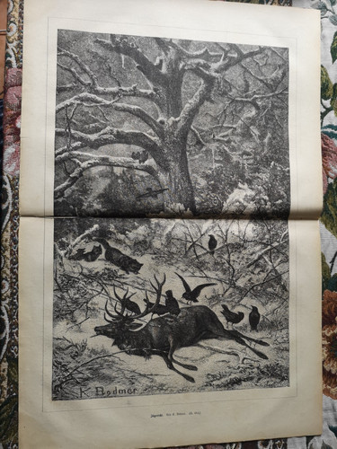 ülum zeitungsdruck 1876 - rk,