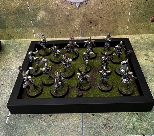 Pro painted high elf blood - pro,