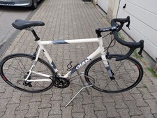 Rennrad Giant Alu XL Rahmen Gr 60 cm mit Campagnolo