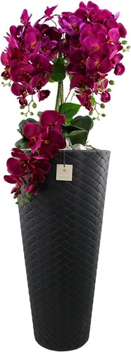 Orchideengesteck phalaenopsis - orchideengesteck,