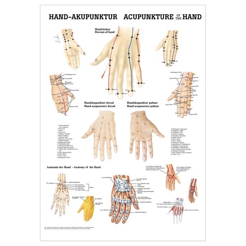 Hand akupunktur mini poster - hand-akupunktur, mini-poster