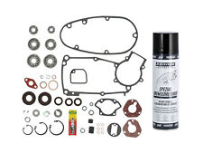 Set: Motorregenerierung SKF