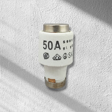 Schmelzsicherung 50A 500V gL /