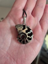 Natürlicher pyritisierter