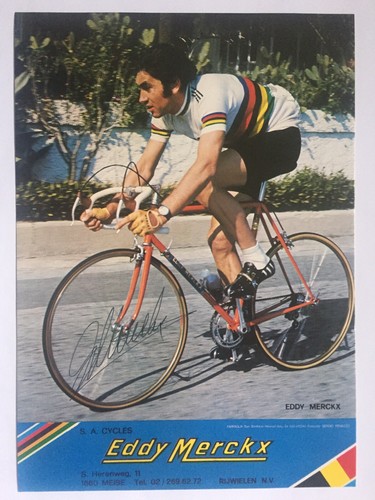 Eddy merckx signiert große - eddy,