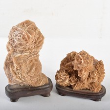 Suiseki Bonsai Japanischer