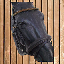 Trense Ariana, Horse & Passion