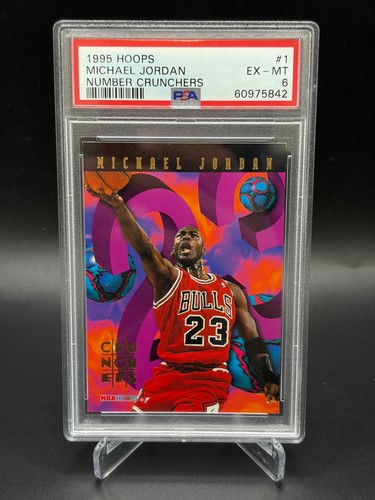 1995 hoops michael - 1995-96,