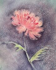 Original Aquarellbild 45x61cm