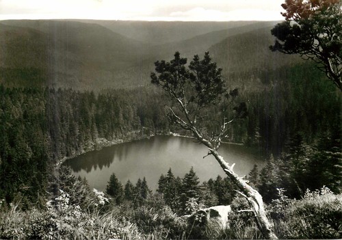 Darmstadter hutte wildsee - darmstadter,