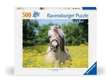 Erwachsenenpuzzle 500 Teile -