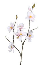 Künstlicher magnolien zweig - künstlicher,