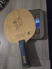 Nittaku Hina Hayata H2 In