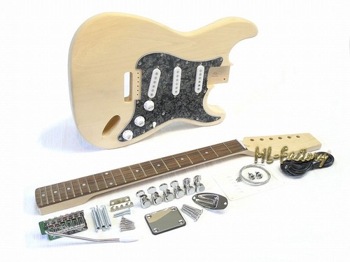 E-Gitarren-Bausatz