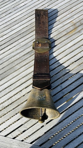 Alpenländische kuhglocke - alpenländische,