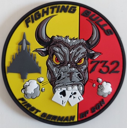 Patch 732 fighting bulls 1st - bulls,