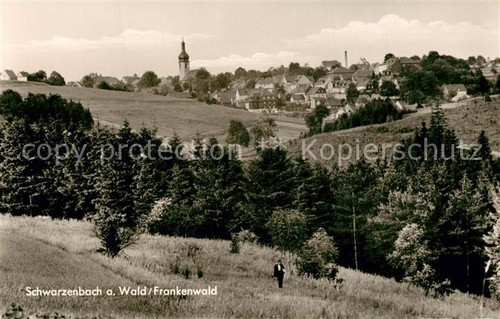 Schwarzenbach wald panorama - schwarzenbach,