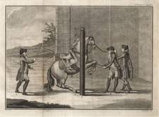 Pferdedressur/Reitkunst