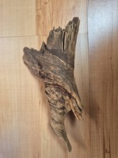 ausgefallen extravagant Vogel