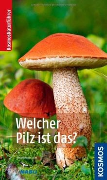 Welcher pilz ist das - welcher,