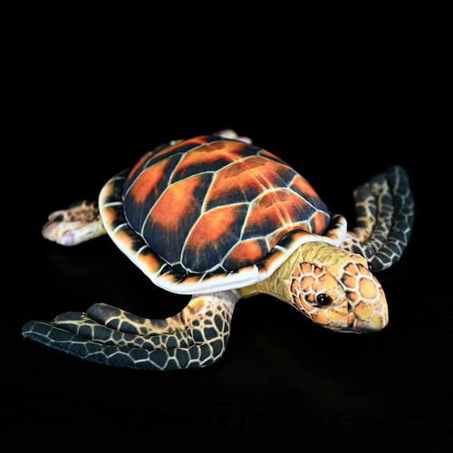 Schildkröte kuscheltier cm - 32,