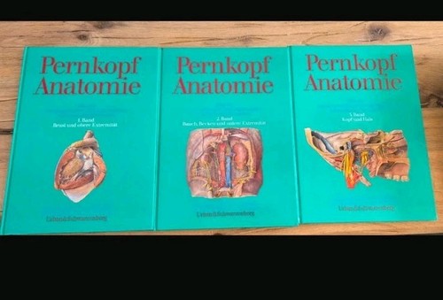 Pernkopf anatomie des menschen - anatomie,