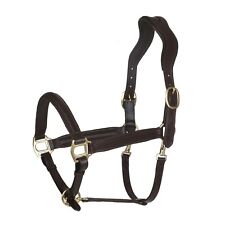 BergReiter anatomisches