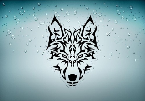 Aufkleber auto motorrad wolf - aufkleber,