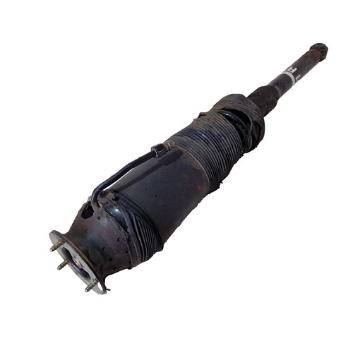 Mercedes w215 w220 - w215,