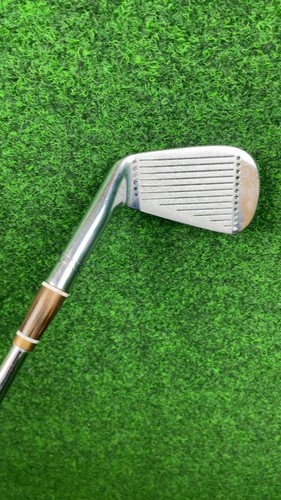 Jack nicklaus golden - jack, bear