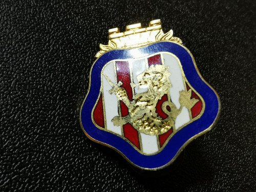 Alter army pin - army, crest