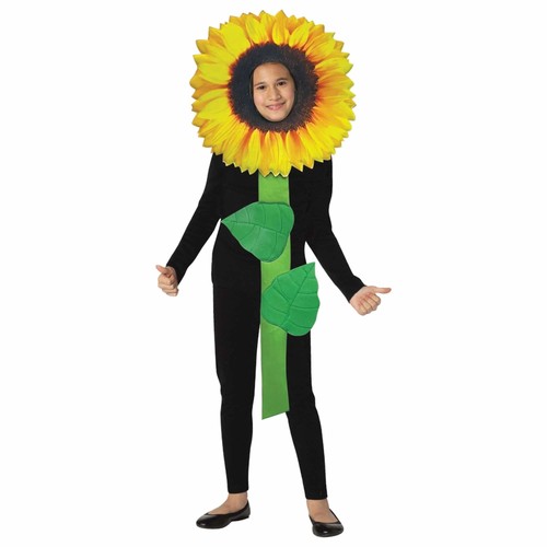 Sonnenblume blume pflanze - sonnenblume,