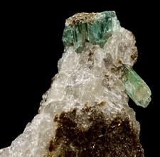 241 Karat Top Qualität