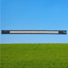 Euroriding Stirnband "Pearls &