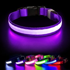 Hundehalsband leuchthalsband - hundehalsband,