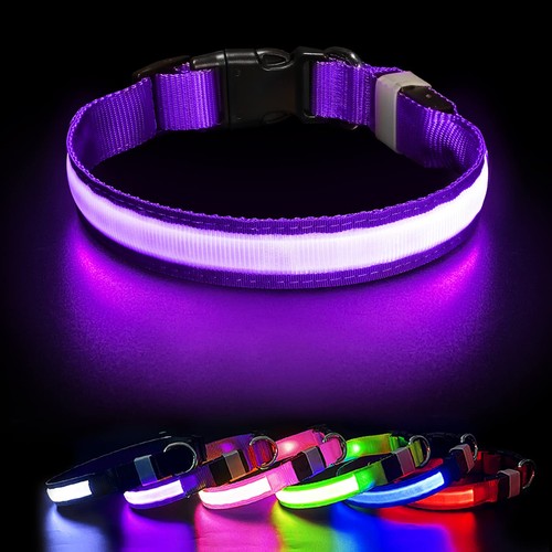 Hundehalsband leuchthalsband - hundehalsband,
