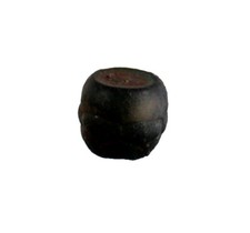 Kreide  Bourgueticrinus