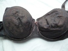 BH Gr.75F grau Rosa Faia