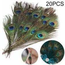 20 Stk Pfauenfedern 25-30 cm