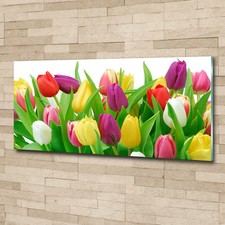 Glas-Bild Wandbilder Druck auf