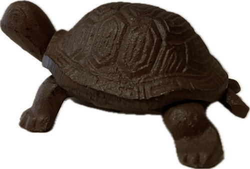 Schildkröte garten haus - schildkröte,