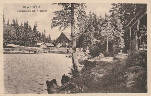 Bayer wald restauration - bayer., am
