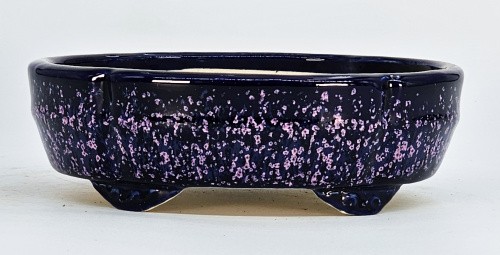 Bonsaischale koyo tokoname - bonsaischale,