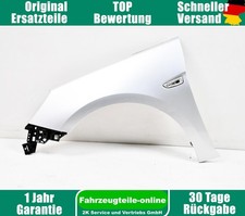 Kotflügel Seitenwand vorn