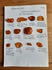 12 Bernstein Sinklusen insgesamt 45,8g Blüten Pflanzenstengel Ameisen Käfer u.a.