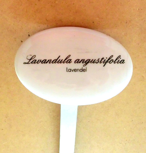 Kräuterschild oval porzellan - oval,,
