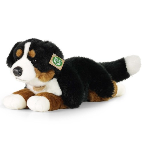 Berner sennenhund 44cm - sennenhund, liegend