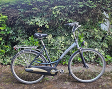 28 Zoll Holland Damenfahrrad Rahmen 53 Damenrad Batavus Staccato w. Gazelle Köln